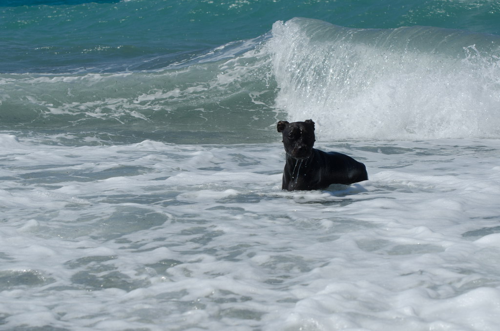  Marta pliva i uživa na moru 